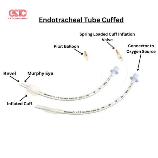 Cuffed Endotracheal Tube