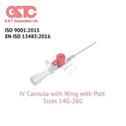 IV Cannula With Wings With Port