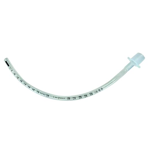 endotracheal tube