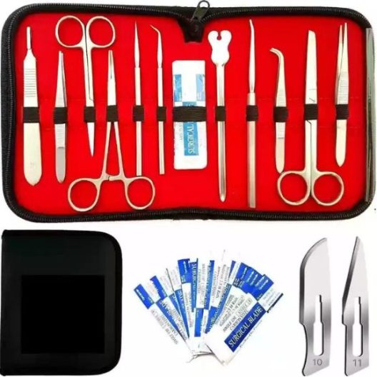 dissecting set